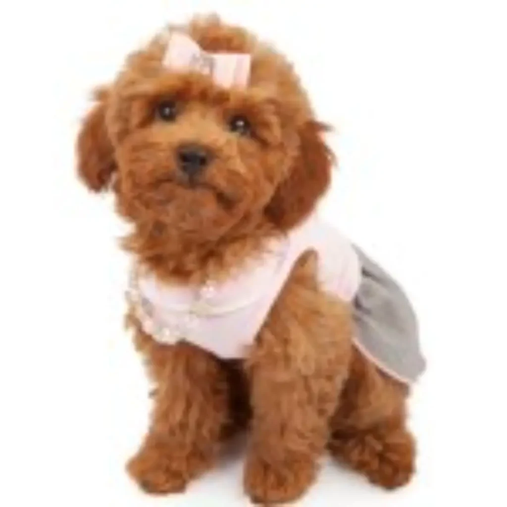 depositphotos_10969634-stock-photo-poodle-puppy-wearing-pink-outfit