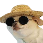 hatwithsungls-removebg-preview