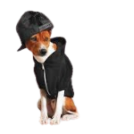 newhat-removebg-preview